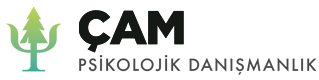 Psikolog Kağan Çam